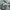 Unknown Baggy Balloon Parachute Pants photo 5