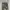 Lifelines Loose Camouflage Cargopants photo 4