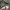 N3B Avirex Aleutian Tigers Jacket | Jacket Avirex | Avirex S photo 6