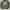 N3B Avirex Aleutian Tigers Jacket | Jacket Avirex | Avirex S photo 2