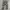 Los Angeles Loose Camouflage Cargopants photo 1