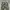 Los Angeles Loose Camouflage Cargopants photo 3