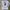 Jersey real madrid player issue photo 2