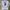 Jersey Real Madrid Player Issue