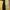 Kaos Outdoor Eider Baselayer Yellow Black Gunung Hiking Trek photo 4