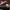 AIR JORDAN 1 Low (Noble Red)