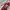 🎄 VINTAGE STYLE XMAS SWEATER by H&M  photo 5