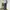 Baggy carpenter pant by Cosby NYC photo 3