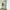 Bufallo black tab faded jeans straight fit photo 7