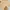 Atasan Cardigan Brown Bordir Beruang Gemas Lucu  photo 2