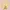 Atasan Cardigan Brown Bordir Beruang Gemas Lucu  photo 1