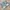 Red Pepper Y2K Lolita Mini skirt Wanita blue photo 6