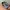 NIKE INITIATOR NOT P6000 VOMERO AIRMAX AIR TN AIR DN photo 3