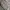 🧶 CUTTY SARK – MADE IN ITALY ALPACA WOOL CARDIGAN  photo 3