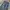 (Size 32/32) Cargo Men’s Blue Washed Baggy Jeans photo 6
