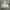 🌲 CASUAL WEAR Knit Hoodie Tribal photo 1
