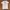 Vtg NFL X Underarmour
