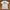 Vtg NFL x underarmour photo 1