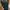Fieldcore Biker Denim Multipocket Pants photo 4