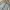 (Size 31/32) GU by Uniqlo Japan Light Blue Baggy Jeans photo 5