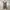 Japanese Leopard Pattern Midi Dress photo 1