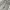 (Size 33) Carpenter Double Knee Workwear Regular Fit Jeans photo 8