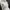 ZARA Luxury Maxi dress Wanita white photo 4