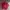 Vintage 90'S Jersey Manchester united (Theater Of Dream) photo 1