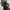 ZARA Futurist Midi dress Wanita black photo 7