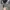 Y2K Unknown Japanese Shimmer Button Up photo 7