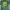 OREGON DUCKS VINTAGE JERSEY  photo 2
