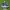 Adidas tr-marathon  photo 1