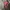 Backpack Manhattan Portage grey laptop sleeve ransel photo 8