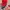 Baseball cap by Verutum official photo 2