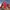 BASELAYER OUTDOOR HIKING KOLPING photo 1