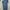 Midi dress jeans photo 1