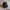 Vintage Trucker Hat Bell Service Gratuit photo 5