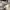 Crewneck ebbets field misty grey covernat carhartt stussy photo 5