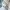 Play bigg cargo washed blue jorts pants photo 8