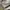8seconds Streetwear Gorpcore Windbreaker Pria gray photo 8