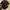 Black Workshirt Von Dutch  photo 1