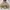 Kangol Streetwear Jumper Pria tan photo 5