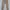 Zara Basic Women Baggy Chino Pants photo 1