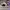 AIR JORDAN 1 LOW SE BEADED SWOOSH RETRO photo 3