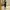 Auctus Long Skirt