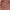 ballon corduroy photo 6