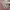 Chrome Hearts Streetwear Y2K Hat Pria white pink photo 5
