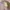 Chrome Hearts Streetwear Y2K Hat Pria white pink photo 4