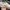 Puma x Coca-Cola Suede Slate Pinstripes – Size 38 photo 1
