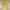 Brazil Varsity Jacket FIFA Edition FIFA 2014 photo 1